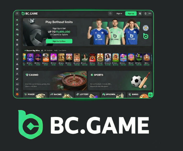 Explore the Thrills of BC.Game Online Casino -403962088