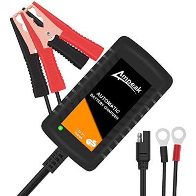 Ampeak 0.75A Cargador
